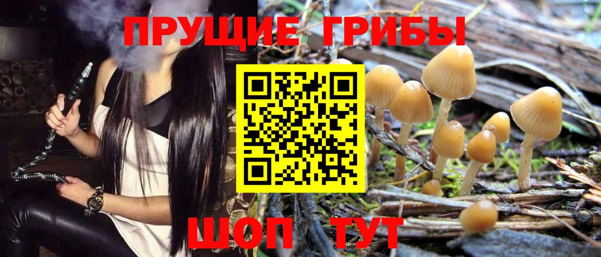 даркнет сайт  Вход с VPN  Бугуруслан  Галлюциногенные грибы прущие грибы 